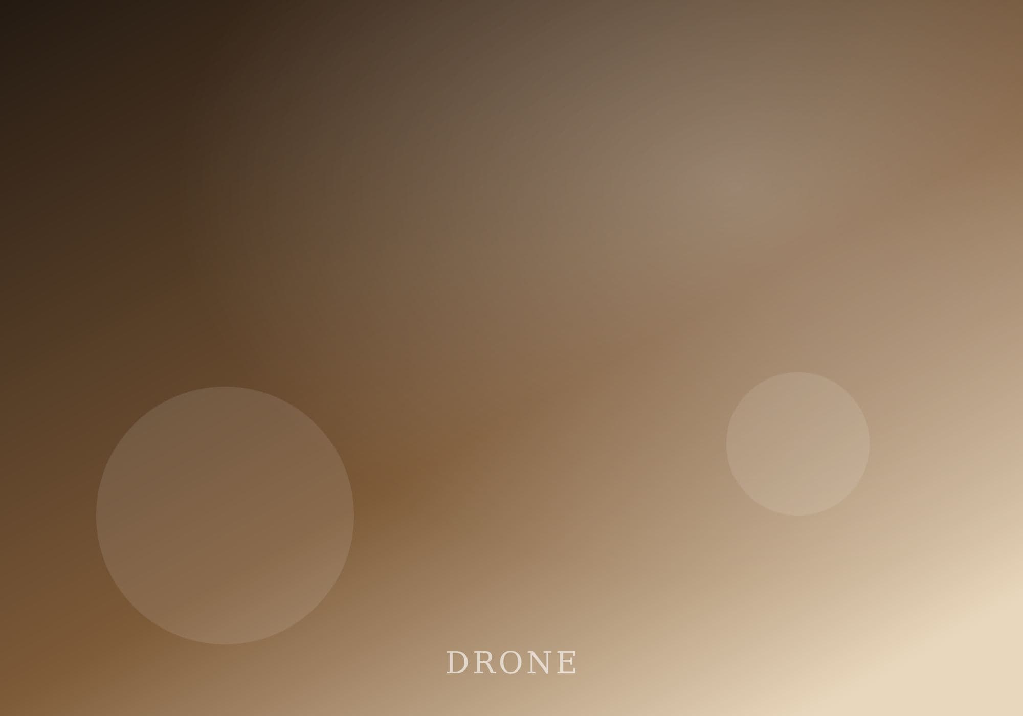 Aerial drone photography of a wedding venue in Malnad — candid frame