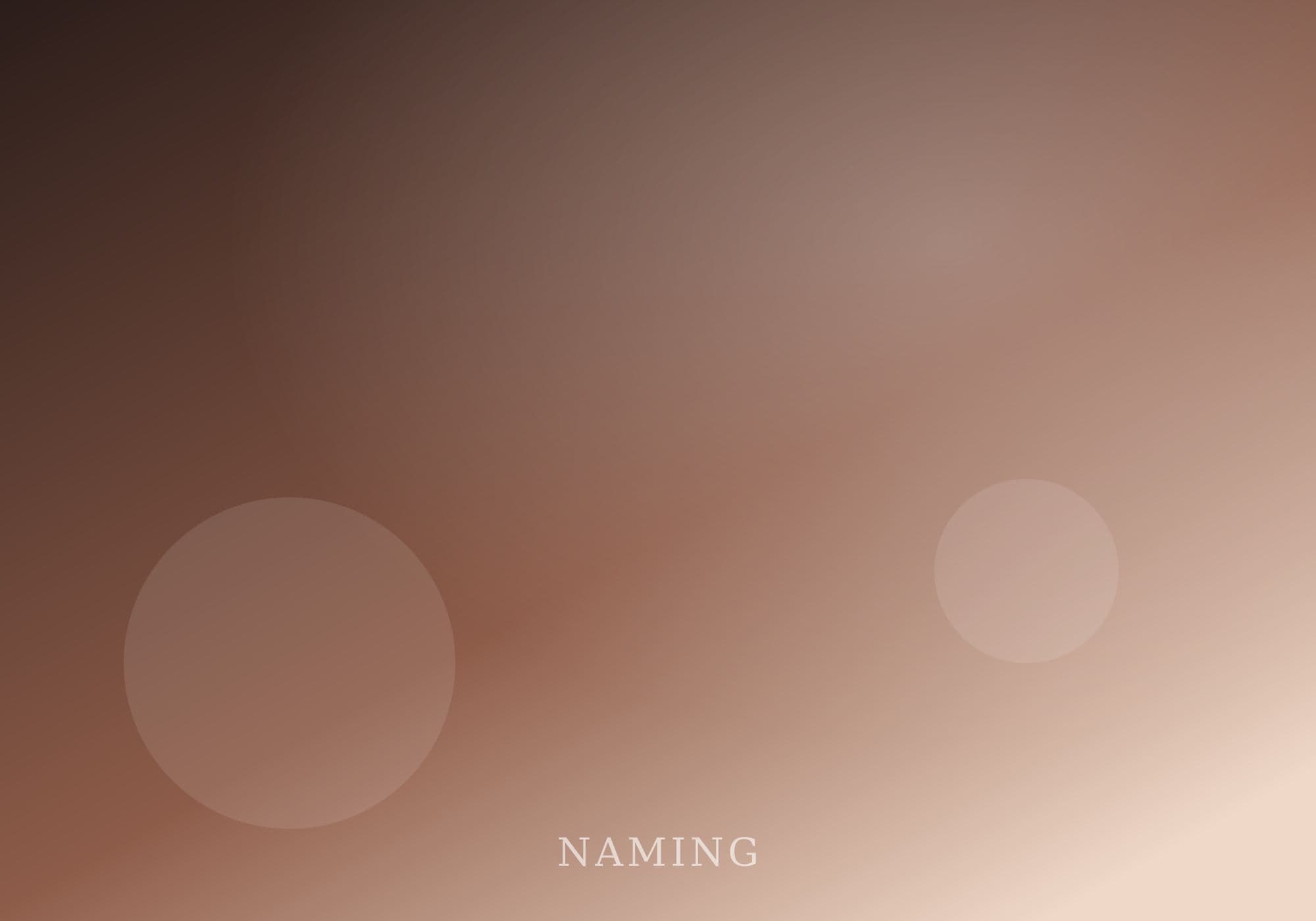 Namakarana naming ceremony photographed by SG Photography — candid frame
